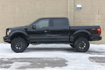 SHADOW BLACK 6 - 2020 FORD F-150 RAMPAGE - Image 3 of 15