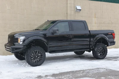 SHADOW BLACK 6 - 2020 FORD F-150 RAMPAGE - Image 4 of 15