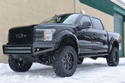 SHADOW BLACK 6 - 2020 FORD F-150 RAMPAGE - Image 5 of 15