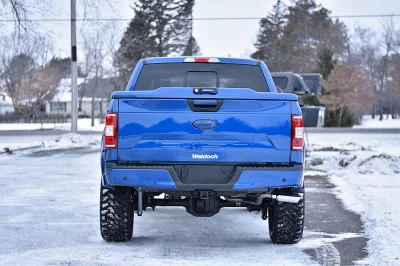BLUE FLAME 1 - 2020 FORD F-150 RAMPAGE - Image 4 of 22