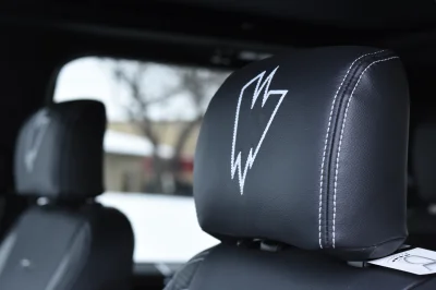 MAGNETIC 4 - 2020 FORD F-150 RAMPAGE - Image 3 of 8