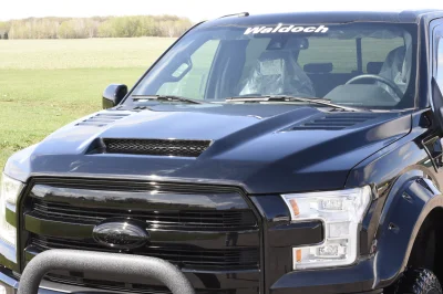 SHADOW BLACK 1 - 2020 FORD F-150 RAMPAGE - Image 7 of 10