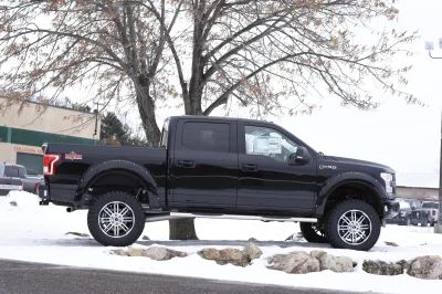 SHADOW BLACK 3 - 2020 FORD F-150 RAMPAGE - Image 3 of 9