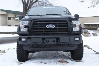 SHADOW BLACK 3 - 2020 FORD F-150 RAMPAGE - Image 5 of 9