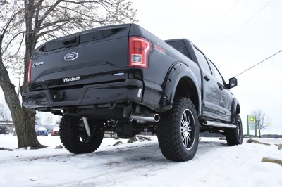 SHADOW BLACK 3 - 2020 FORD F-150 RAMPAGE - Image 8 of 9