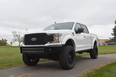 OXFORD WHITE 7 - 2020 FORD F-150 RAMPAGE - Image 2 of 10