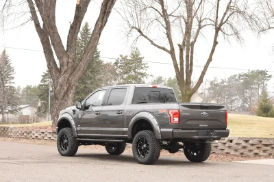 MAGNETIC 3 - 2020 FORD F-150 RAMPAGE - Image 4 of 10