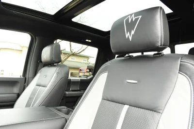 MAGNETIC 3 - 2020 FORD F-150 RAMPAGE - Image 9 of 10