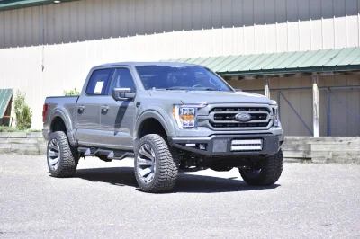 2021 FORD  F150 RAMPAGE EDITION LEAD FOOT GREY BY WALDOCH - 2021 FORD F-150 RAMPAGE - Image 10 of 28