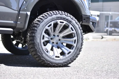 2021 FORD  F150 RAMPAGE EDITION LEAD FOOT GREY BY WALDOCH - 2021 FORD F-150 RAMPAGE - Image 14 of 28