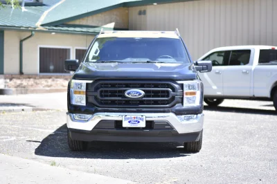 FORD F150 PEST CONTROL TRUCK CUSTOM BY WALDOCH - 2021 FORD F-150 WORK - Image 15 of 28