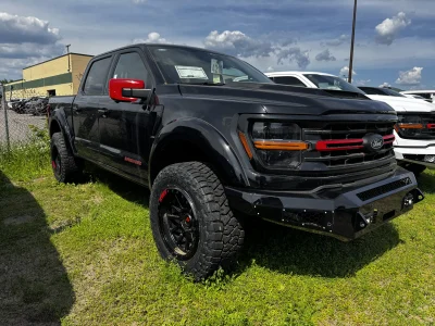 2025 F150 XLT 303A 5.0L CUSTOM - 2025 FORD F-150 CUSTOM - Image 1 of 15
