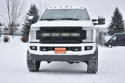 OXFORD WHITE 4 - 2020 FORD F-250 RAMPAGE - Image 3 of 16
