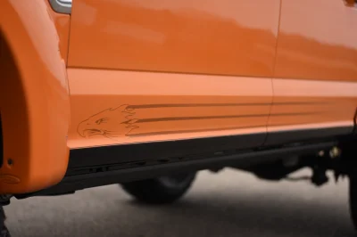 ORANGE - 2020 FORD F-350 HAWK - Image 18 of 22