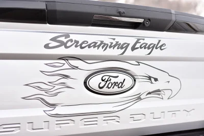 GRAY - 2020 FORD F-350 HAWK - Image 10 of 15