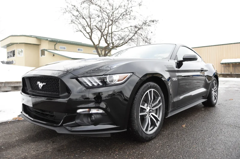 SHADOW BLACK by Waldoch Crafts