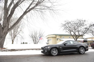 SHADOW BLACK - 2017 FORD  CUSTOM - Image 2 of 9