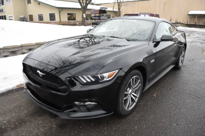 SHADOW BLACK - 2017 FORD  CUSTOM - Image 3 of 9