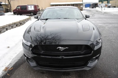 SHADOW BLACK - 2017 FORD  CUSTOM - Image 4 of 9