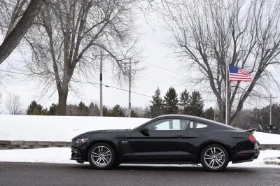 SHADOW BLACK - 2017 FORD  CUSTOM - Image 5 of 9