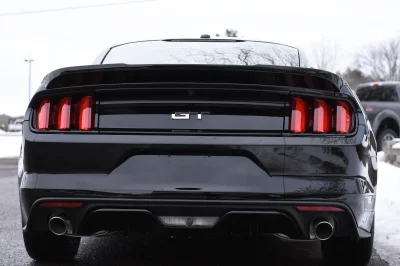 SHADOW BLACK - 2017 FORD  CUSTOM - Image 7 of 9