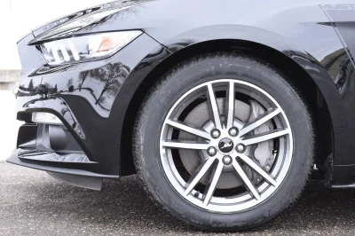 SHADOW BLACK - 2017 FORD  CUSTOM - Image 8 of 9