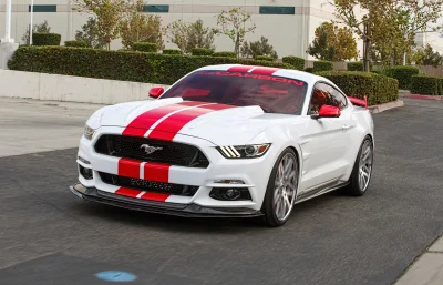 WHITE - 2017 FORD  CUSTOM - Image 1 of 14