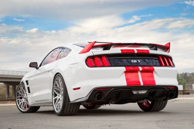 WHITE - 2017 FORD  CUSTOM - Image 10 of 14