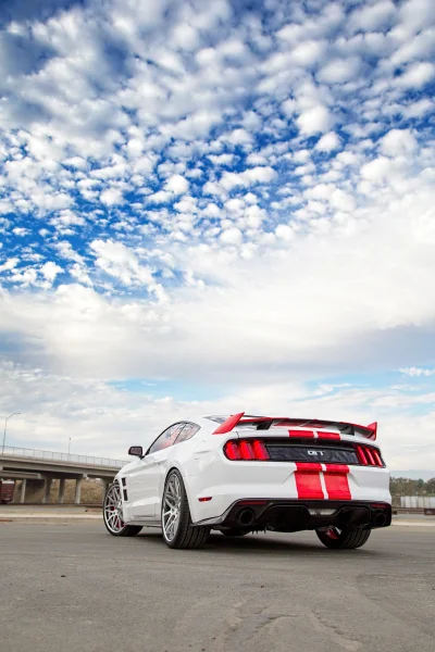 WHITE - 2017 FORD  CUSTOM - Image 11 of 14