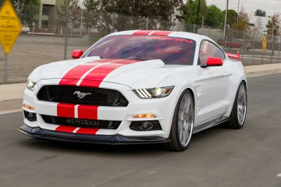 WHITE - 2017 FORD  CUSTOM - Image 13 of 14