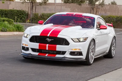 WHITE - 2017 FORD  CUSTOM - Image 2 of 14