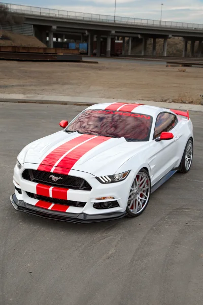 WHITE - 2017 FORD  CUSTOM - Image 5 of 14