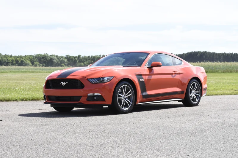 COMPETITION ORANGE by Waldoch Crafts