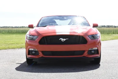 COMPETITION ORANGE - 2017 FORD  CUSTOM - Image 2 of 10