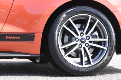 COMPETITION ORANGE - 2017 FORD  CUSTOM - Image 8 of 10