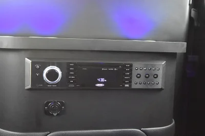 CUSTOM LIMO 159 RAM PROMASTER 10 PASSENGER PARTY BUS BAR COOLER BY WALDOCH - 2020 RAM PROMASTER LIMO - Image 14 of 17