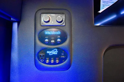 RAM PROMASTER LIMO CUSTOM INTERIOR PARTY BUS WEDDING VAN GREAT CONVERSION BY WALDOCH - 2020 RAM PROMASTER LIMO - Image 2 of 36