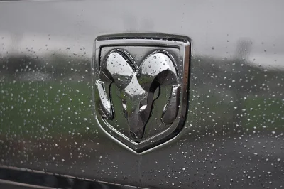 BLACK CRYSTAL 2 - 2019 RAM  M80 - Image 12 of 12