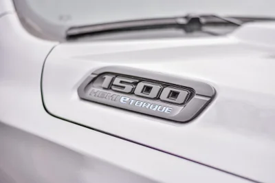 BILLET SILVER METALLIC 1 - 2022 RAM  LIFT - Image 13 of 21